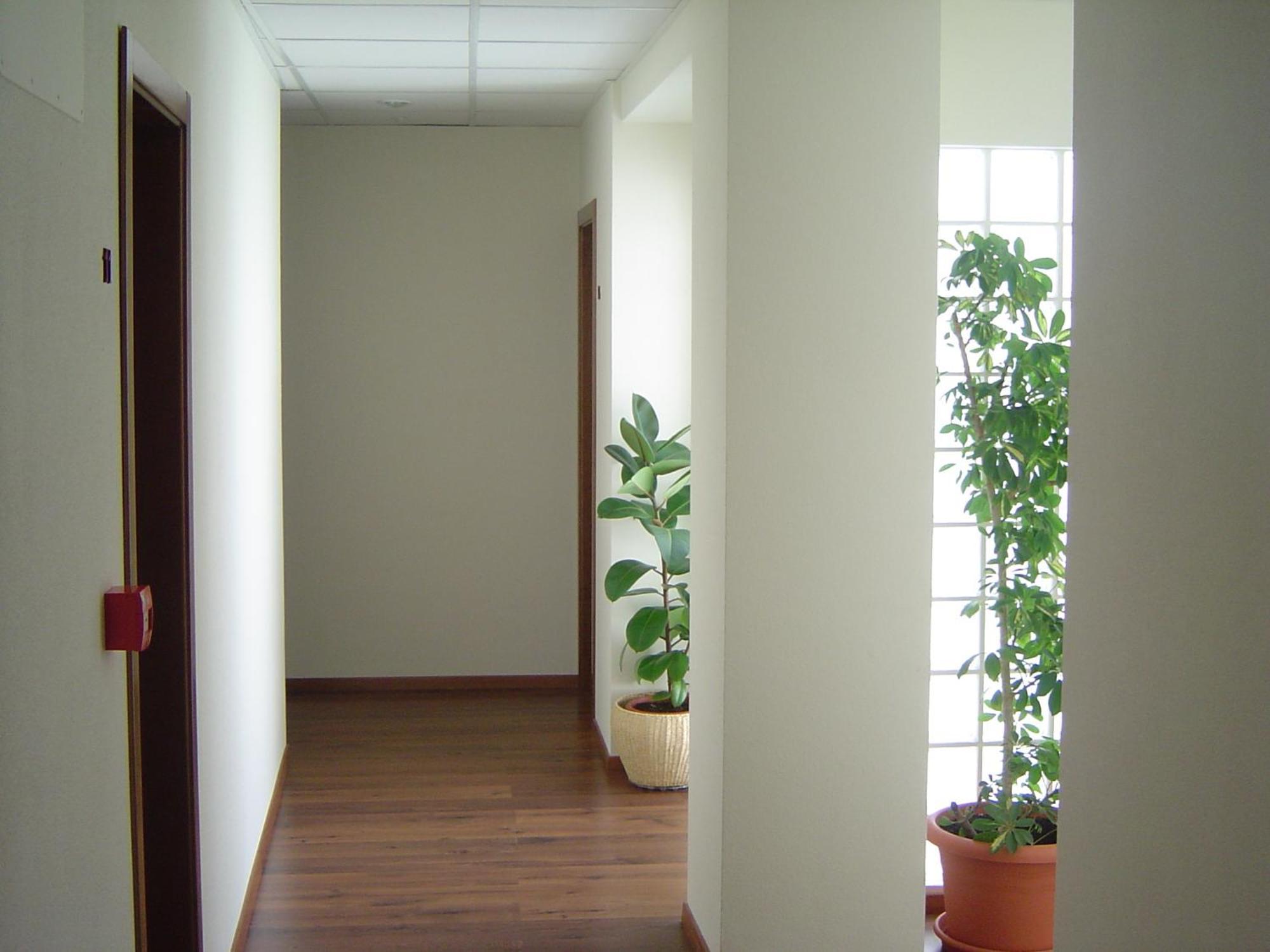 Hostal El Estudio Almansa Buitenkant foto