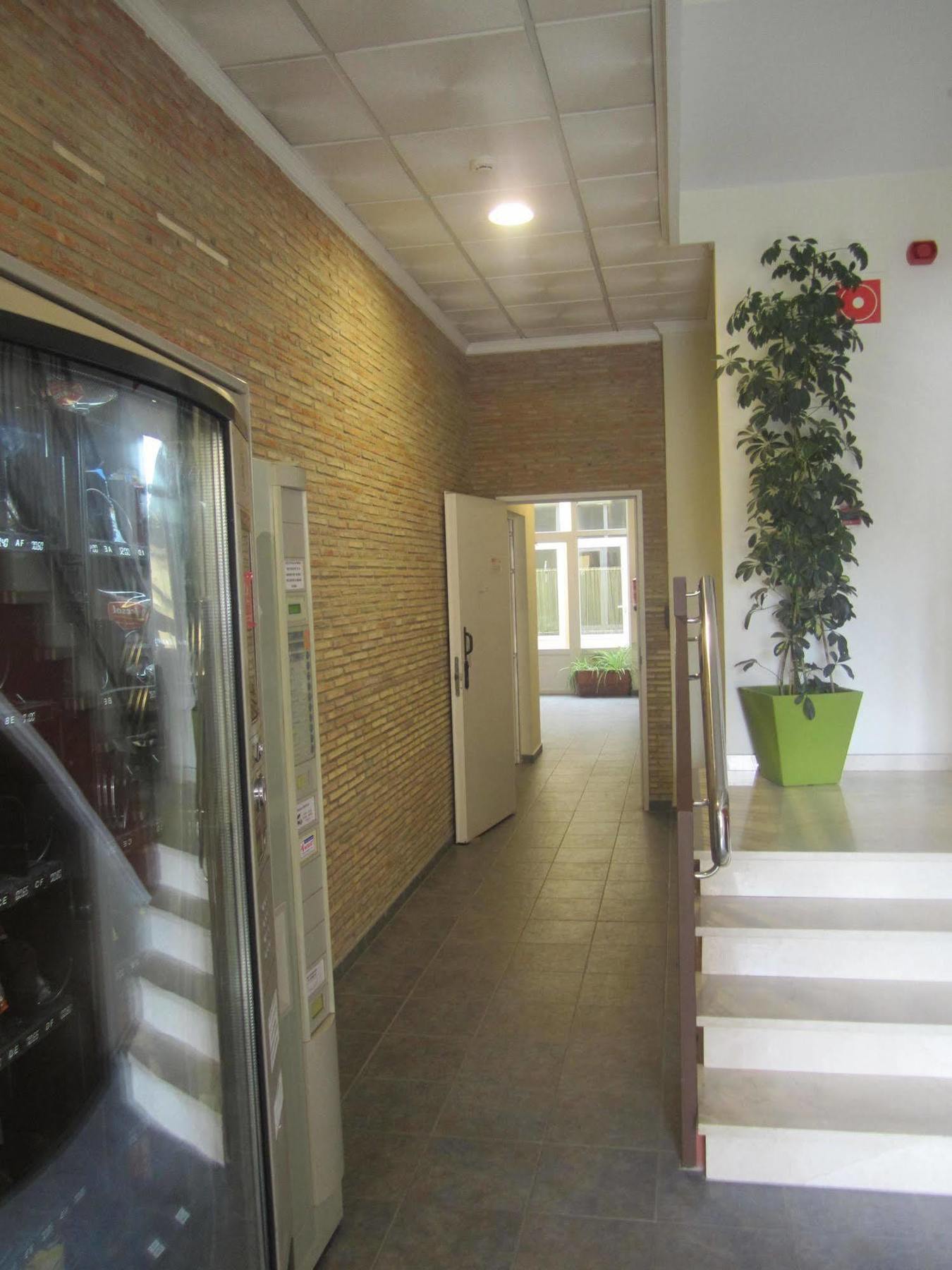 Hostal El Estudio Almansa Buitenkant foto